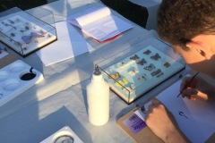 Newhaven Open Call art workshop at SCDA youth group.